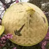 Изображение товара 0