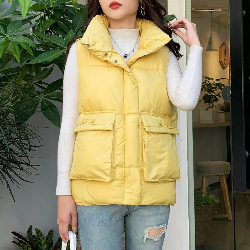 

Women's Autumn and Winter Sleeveless Waistcoat Female Korean Fashion Loose Vest Stand Casual Collar Warm Cotton Vest Jacket Z911