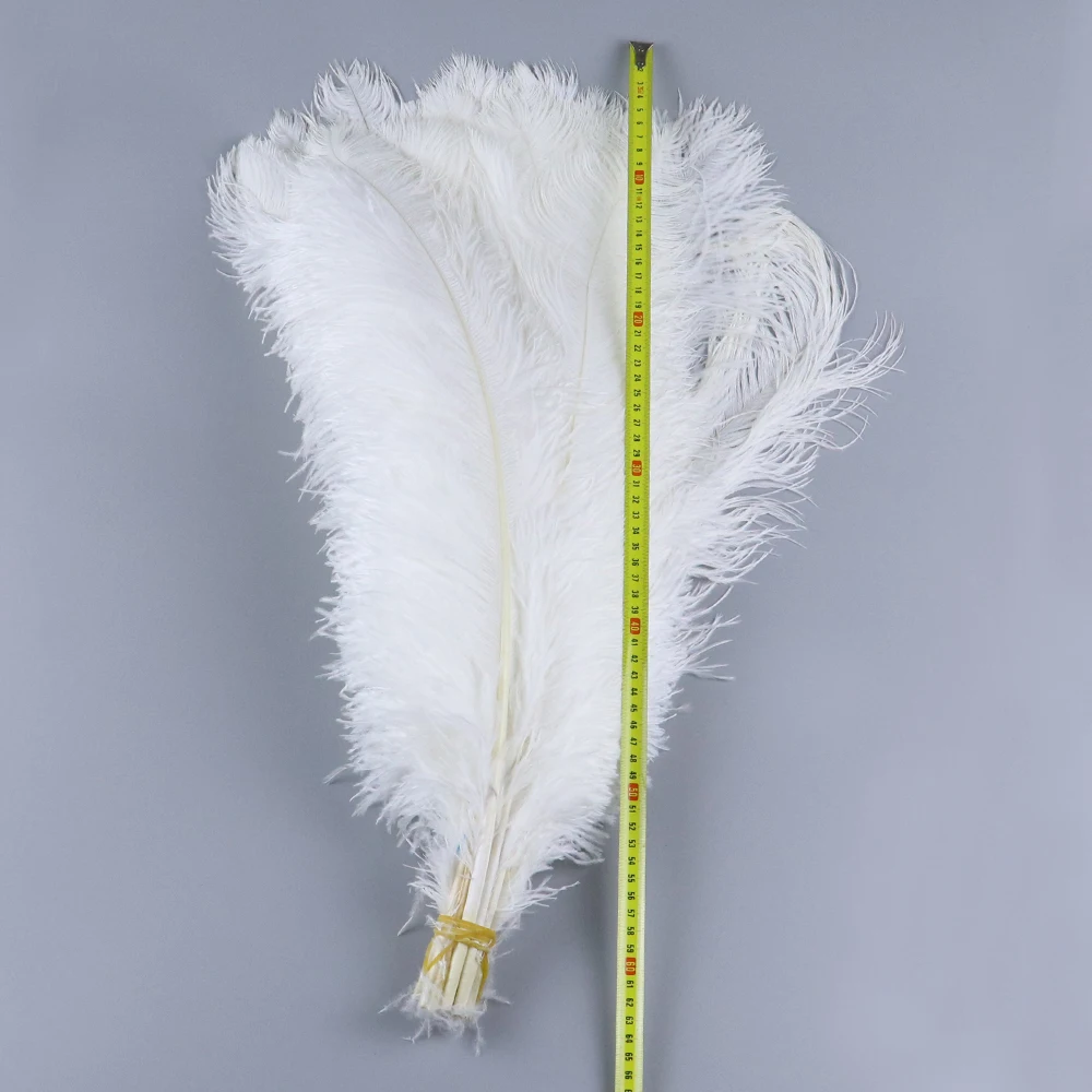 

Natural Ostrich feather High quality feather 24-26 inch Long Wedding Carnival Home Vase Decoration feather Accessory for Crafts