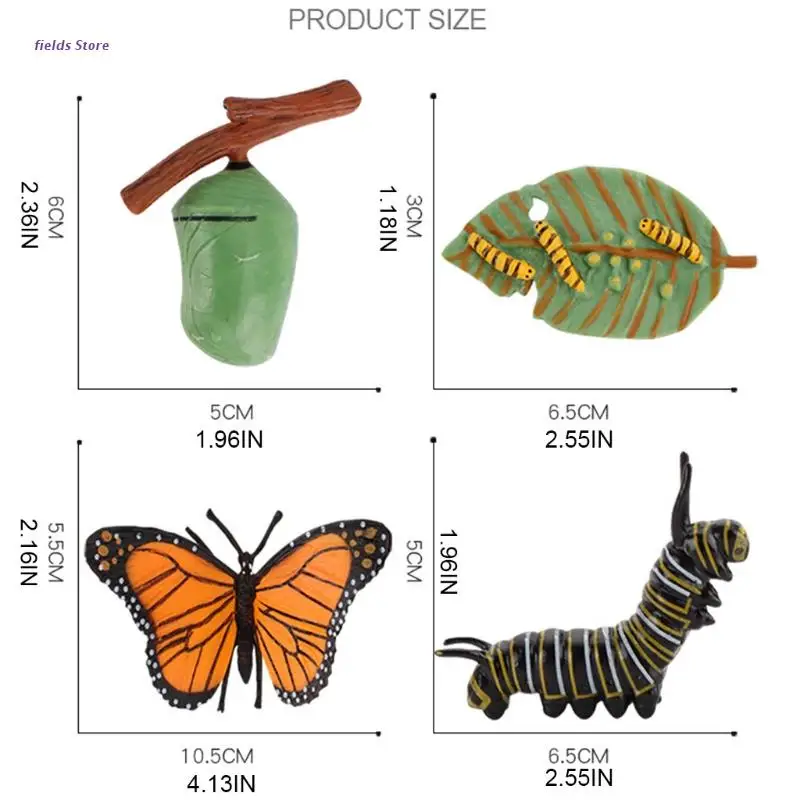 

Butterfly Life Cycle Plastic Models Action Figures Educational Kids Toy