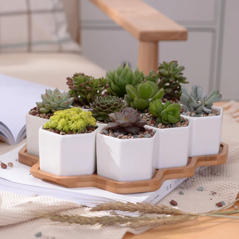 

Simple White Creative Succulents Ceramic Potted Flowerpot with Six Sides with Bamboo Bracket Planter Pot Office Decor