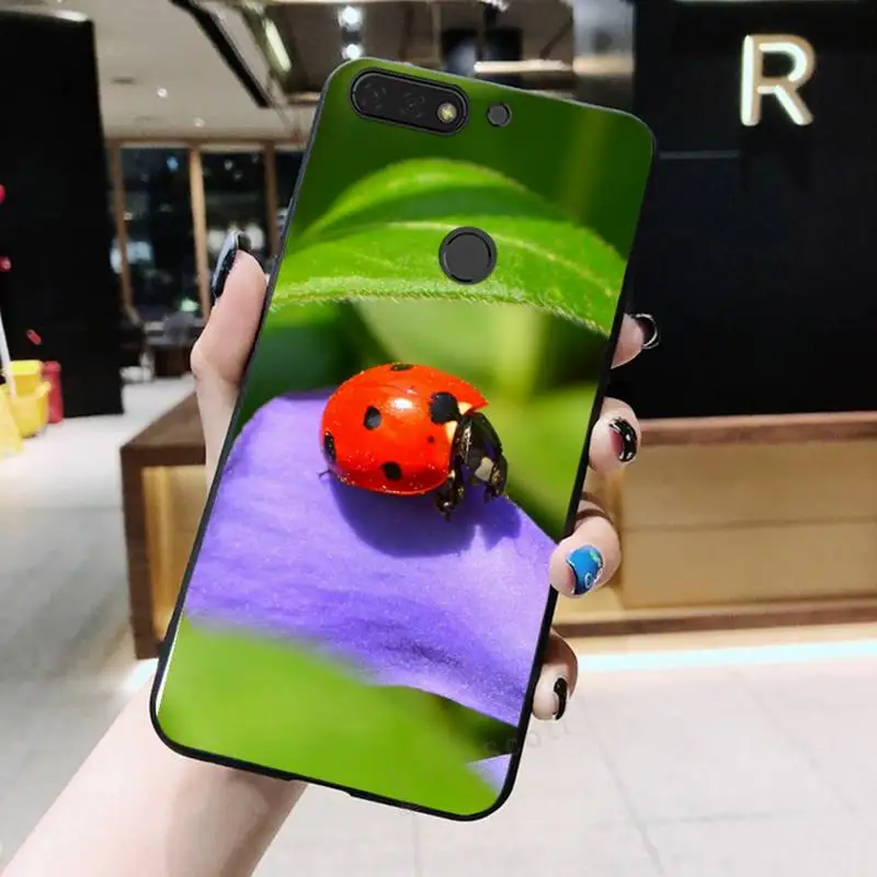 

ladybug beatuiful animal world Phone Case For huawei honor 10i 10 lite 8x 9x 20 30 v30 pro mate 20 30 40 lite pro coque