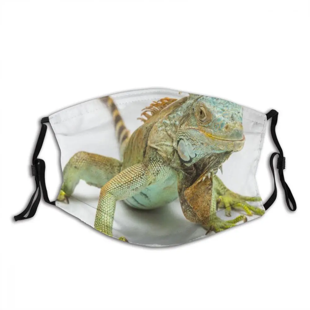 

Iguana Animal Non Disposable Trendy Mouth Face Mask with Filters Anti Haze Cold Proof Earloop Protection Cover Respirator Adult