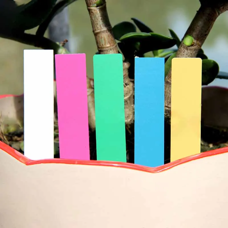 Многоразовые ярлыки из ПВХ для растений 100 шт. пластиковые деревьев фруктов