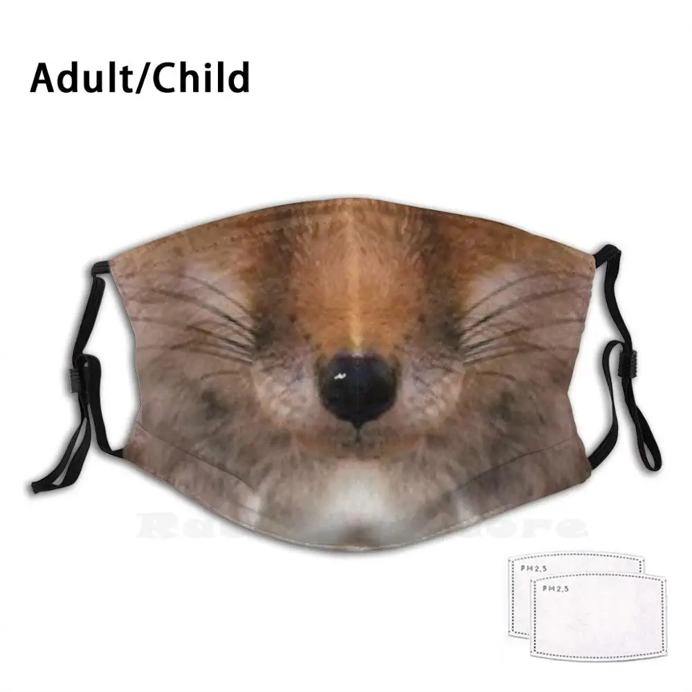 

Redfox Print Washable Filter Anti Dust Mouth Mask Fox Fox Animal