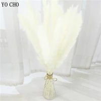 real natural dried pampas grass wedding party decoration small pampas grass plants flower family store home christmas decor