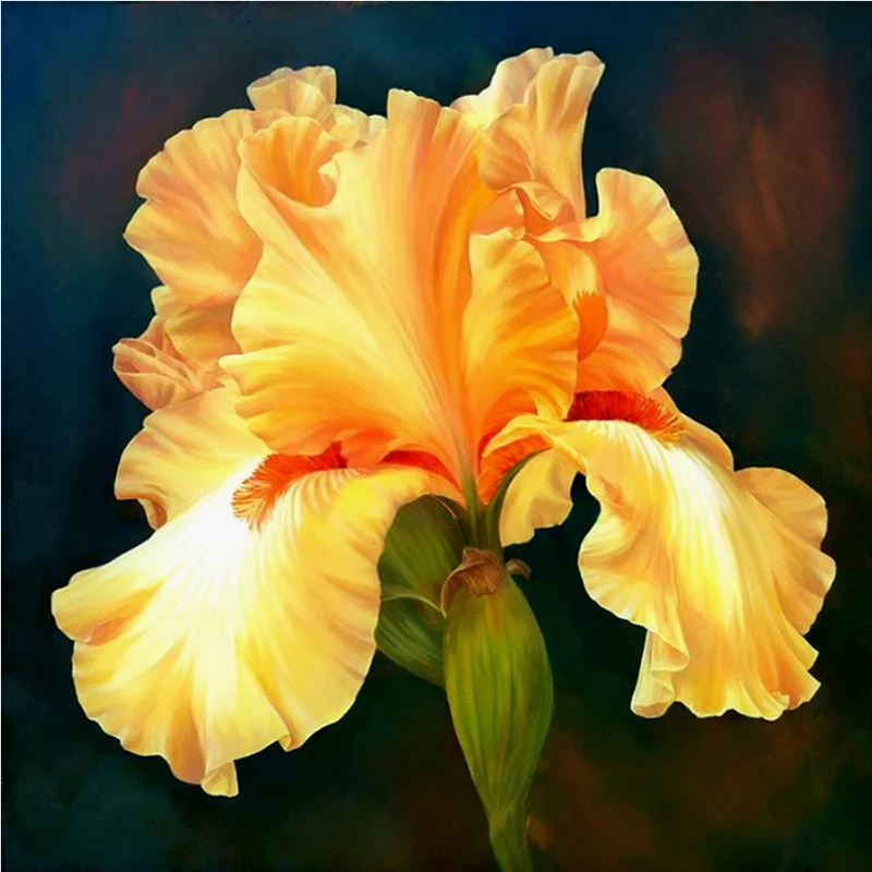 

5D DIY full SquareRound Drill diamond painting Mosaic Cross stitch Yellow iris flower Rhinestone embroidery Home decoration art