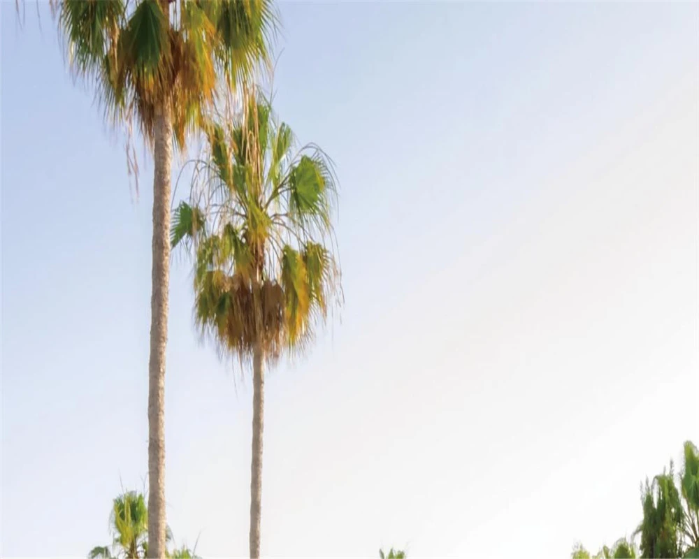 3d обои любого размера на заказ красивый бассейн ландшафт домашний декор гостиная