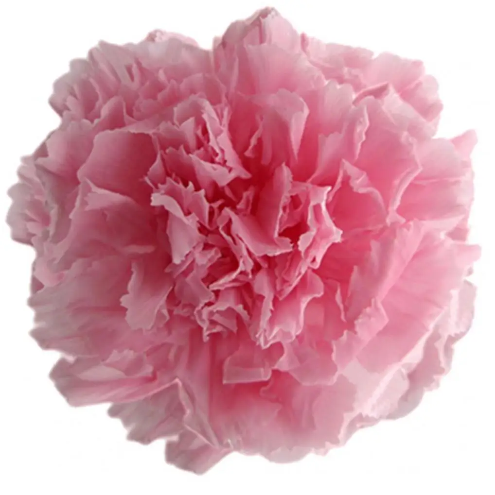 8 шт дюймовые Висячие бумажные помпоны цветочный шар для свадьбы Вечерние