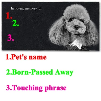 Памятные камни JSYS для домашних животных персонализированные в память о кошке с