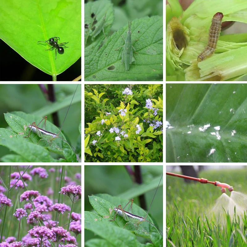 30 шт специальные удобрения растения долговечность инсектицид общая