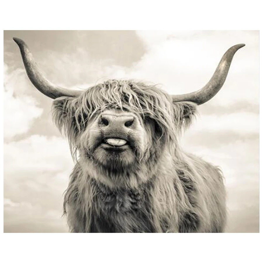

DIY Diamond mosaic "Highland cow" Cross Stitch Kits 5D Square/Round Full Drill Rhinestone Embroidery diamond painting Needlework