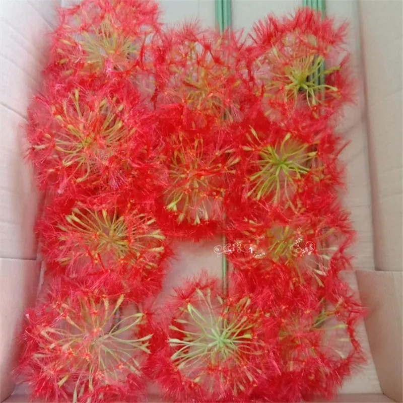 one head Red DIY моделирование одной длинной ветки сухой Одуванчик дома подоконник украшения искусственный цветок для свадьбы украшения подарок на день Святого Валентина - Цвет: one head Red