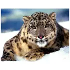 Новый 5d алмазная живопись леопарда полный квадрат и круглый Бриллиантовая мозаичная фигурка животного 3d Алмазная Вышивка ремесла