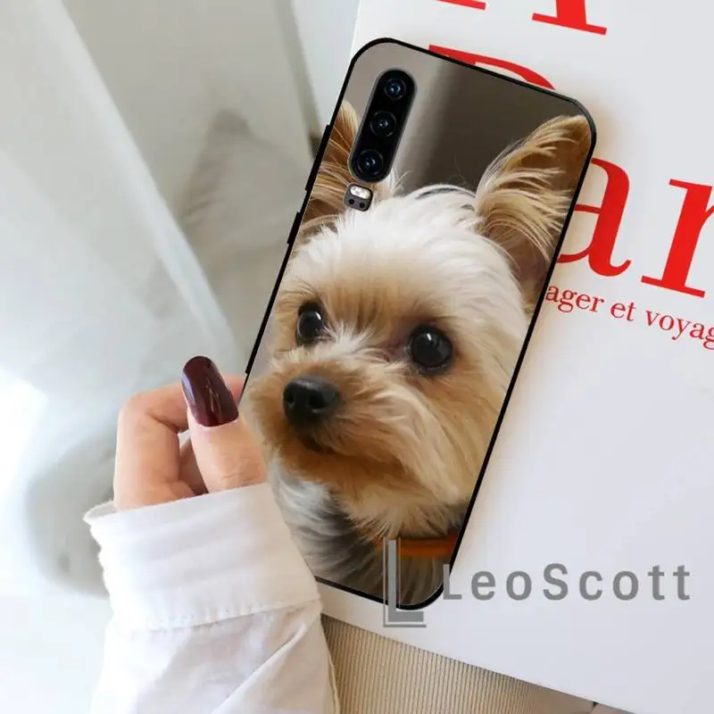 

Mini Yorkshire Terrier Phone Case For Huawei P 9 8 10 40 Mate 30 Honor 8 8A 20 20s 9x nova 6se 5t Y9s PSMART lite pro 2017