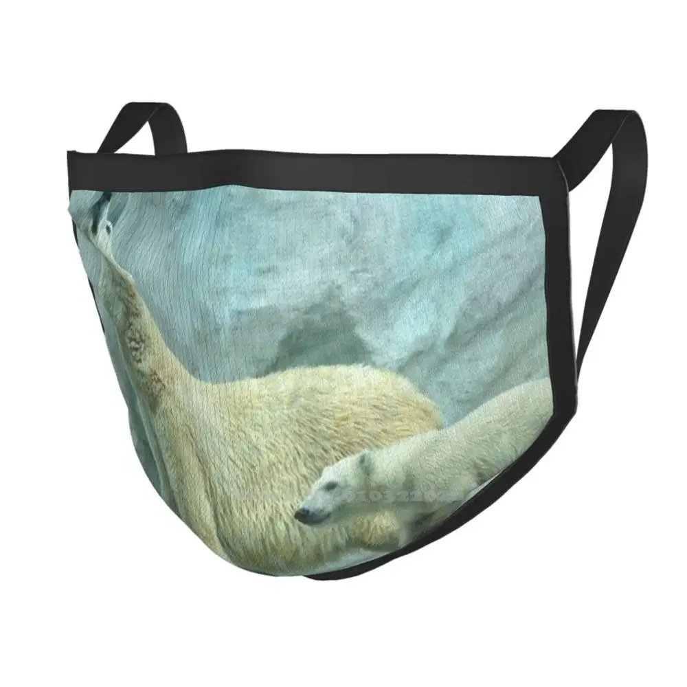 Полярные медведи в зоопарке Толедо теплые дышащие маски для лица белый медведь