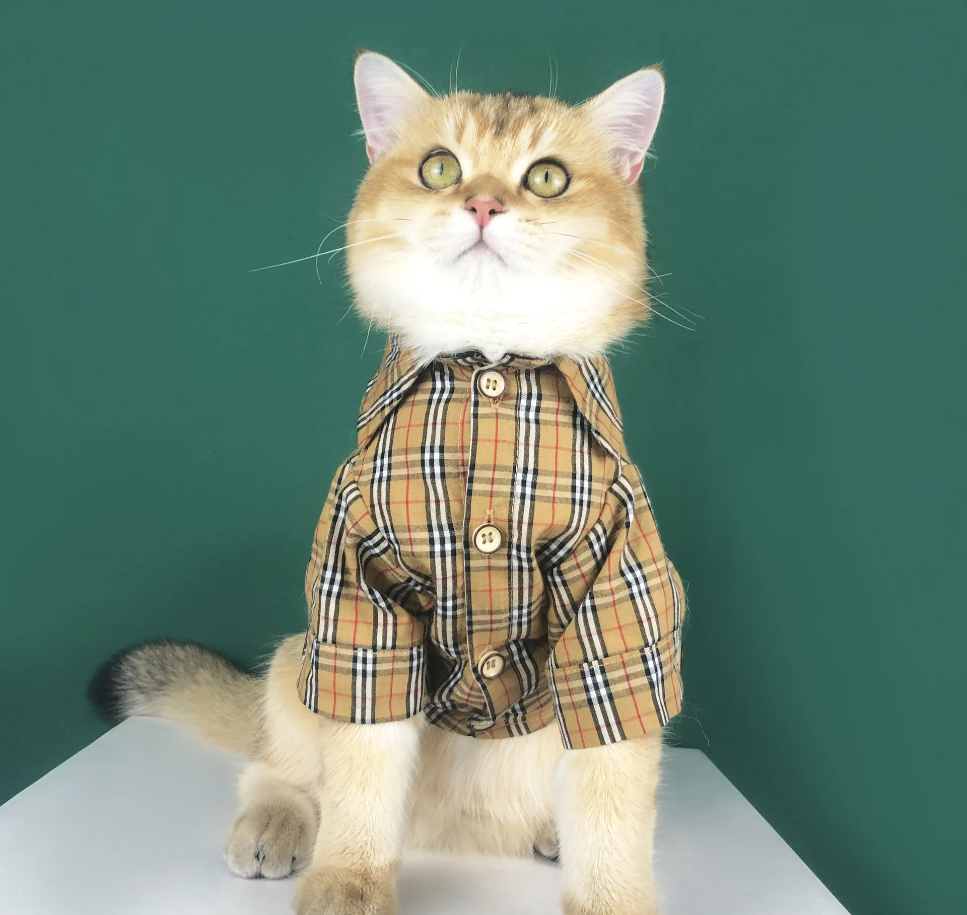 

Pet Clothes Summer Thin Trendy British Short Blue Cat Anti-hair Loss Pet Dog Teddy Plaid Shirt