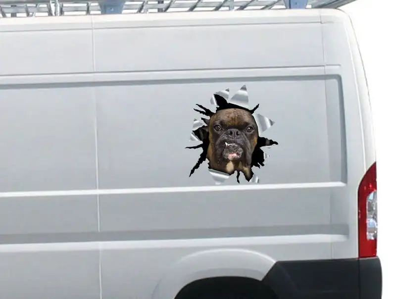 

2021 Brindle boxer car decal, 3d decal, funny sticker, brindle boxer sticker