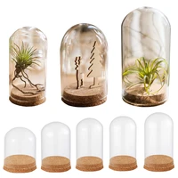 glass dome cover for flower succulent plants landscape vase terrarium container vase with cork dustproof case box display stand