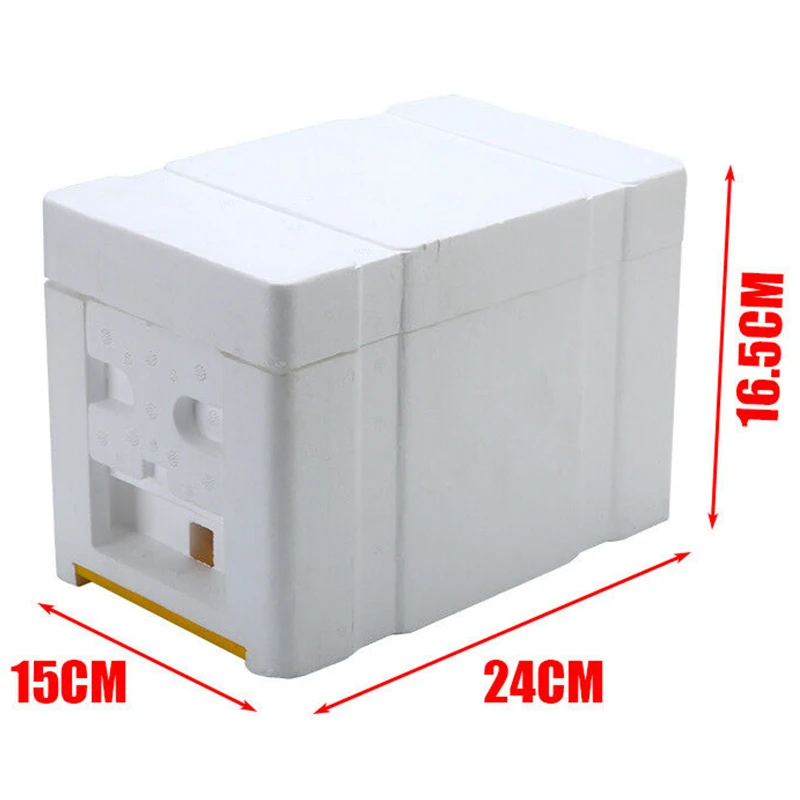 

Bee Hive Beekeeping King Box Pollination Box Foam Frames Beekeeping Tool Kit