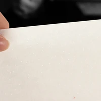 50 sheets ink writing practical mica ripe paper rice paper xuan paper for chinese calligraphy beginners painting craft supply