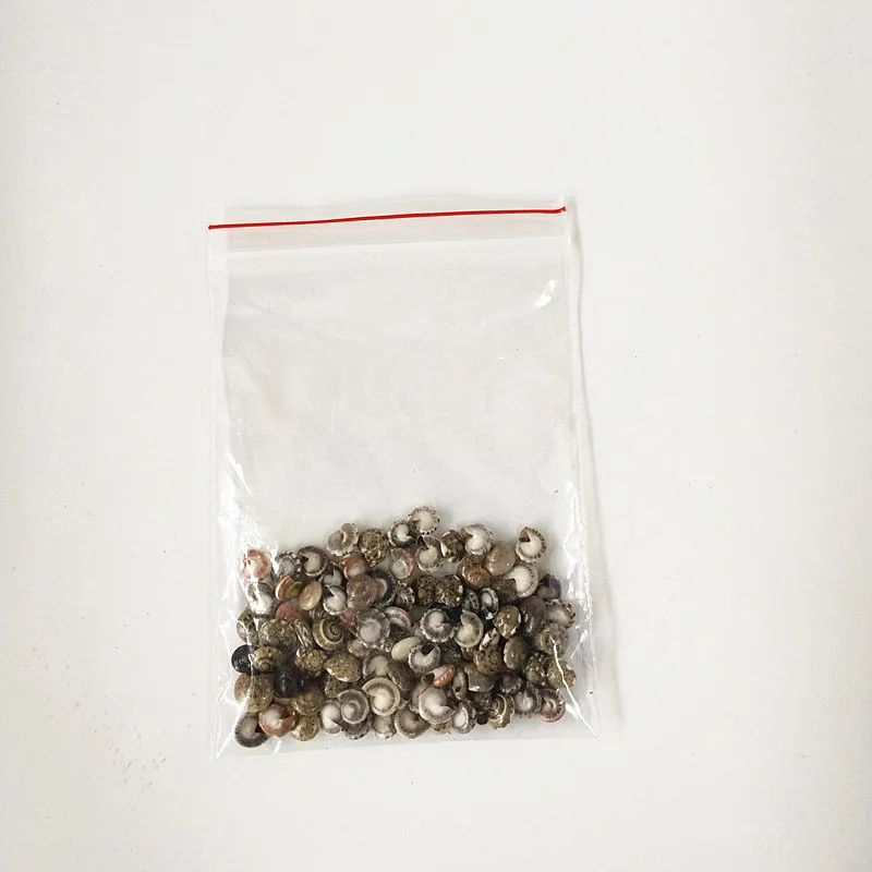 HappyKiss 0 9-1 5 см натуральные морские звезды раковины мини кукурузный винт настенное