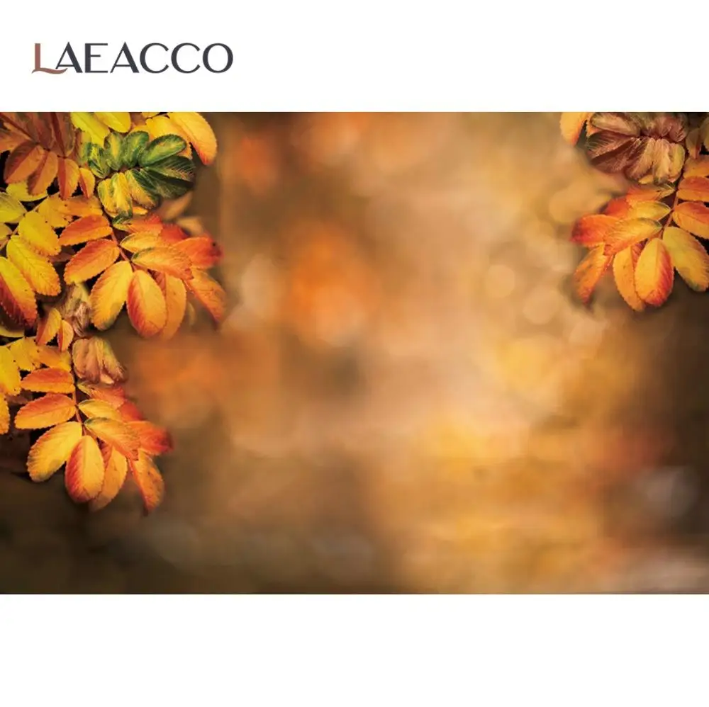

Laeacco Autumn Yellow Tree Leaves Polka Dots Light Bokeh Baby Newborn Portrait Scenic Photography Background Photo Backdrops