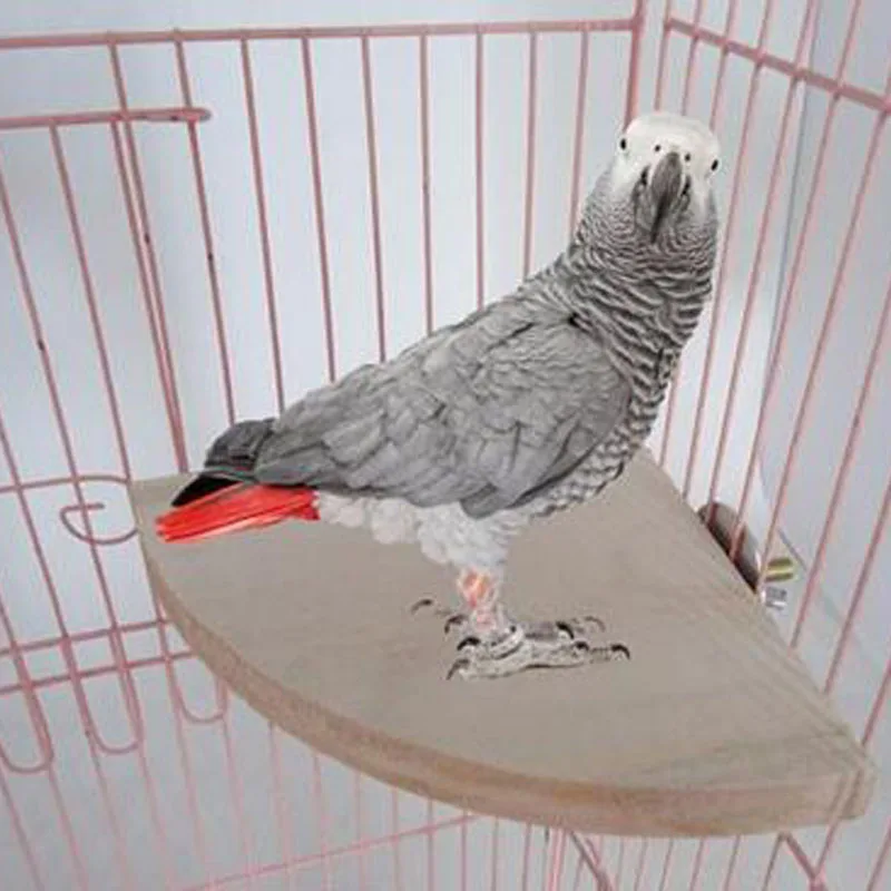 Деревянная подставка для домашних животных птица попугай платформа стойка