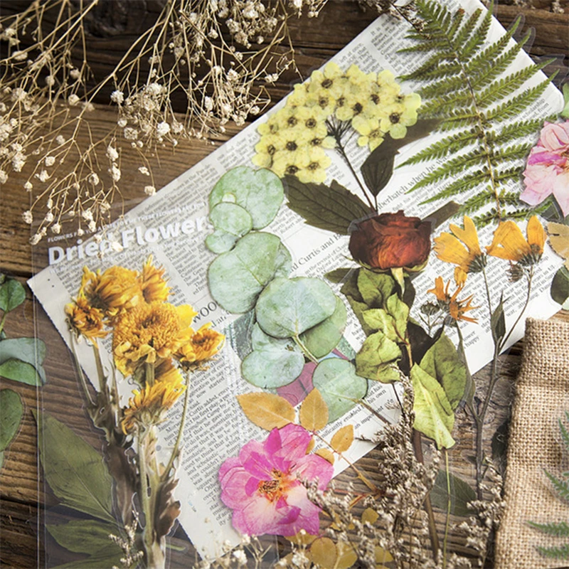 

Stationery Stickers 6pcs Flowers Deco Stickers Plant Book Decoration Album Diy Big Size Diary Stickers Paste Paper hotsell