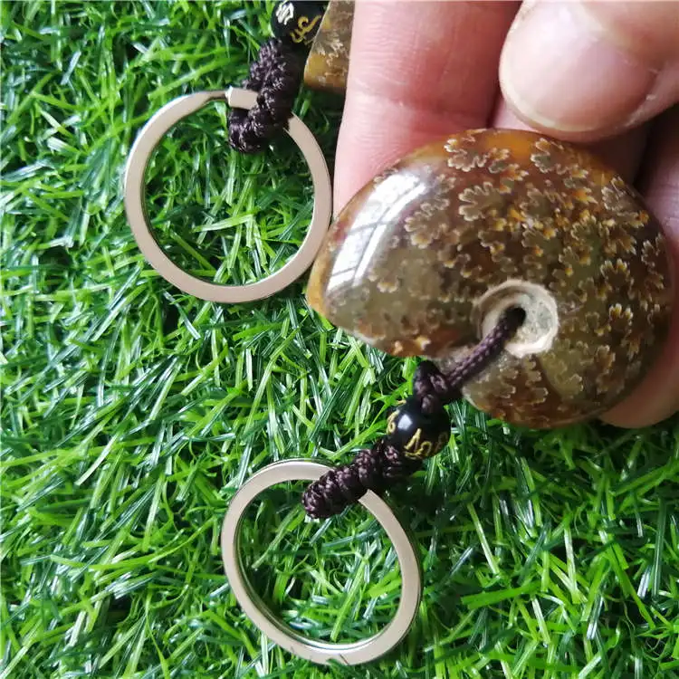 Beautiful Natural Stone Ammonite Fossils Seashell Snail keychain Ocean Reliquiae Conch Animal Necklaces Statement Men Jewellery | Украшения