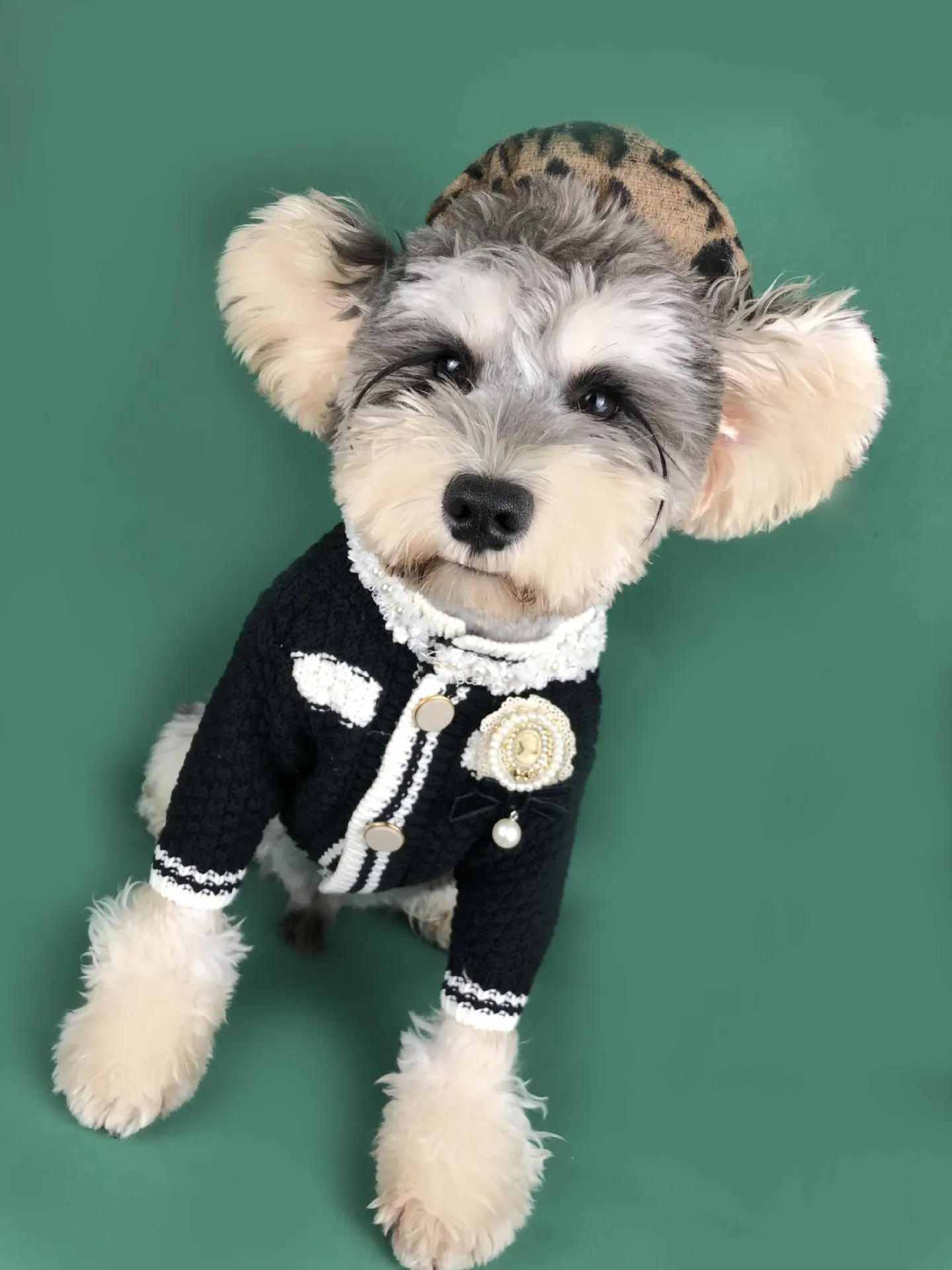 

Dog clothes spring small fragrant wind sweater cardigan snow Na Ribo Metidikika cat pet clothes