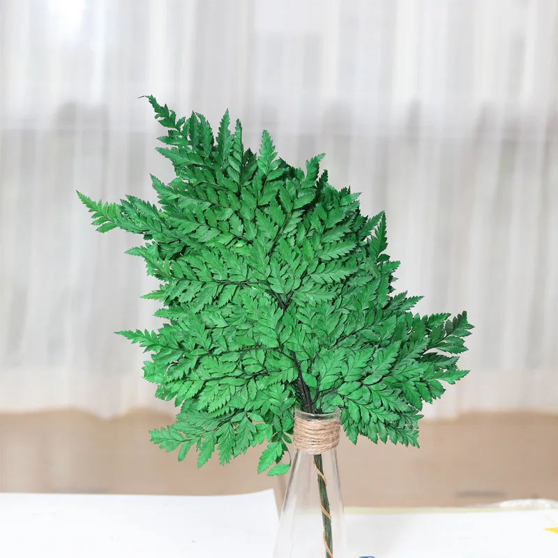 3 шт./лот разноцветные консервированные цветы из козьего зуба Декор для дома