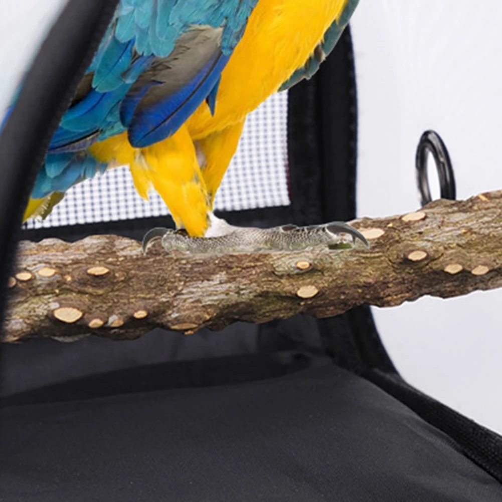 Transparent Breathable Bird Parrot Carrier Travel Bag Cage Handbag with Perch Cages & Nests Easy Cleaning Pet Supply | Дом и сад