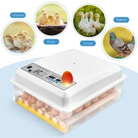 digital 16 eggs incubator for bird pigeon egg broedmachine chicken duck quail birds egg hatcher electronic incubator tools