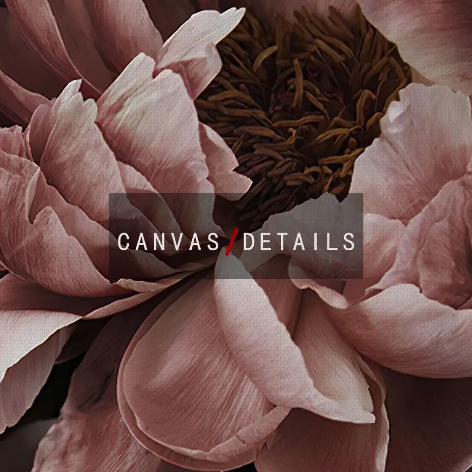 Плакат с розами пионы скандинавский Холст Картина Настенная живопись картинки