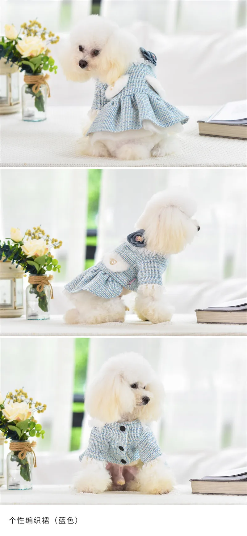 New Pet Dog Clothes Autumn and Winter New Teddy Small Dog Cat Warm Princess Dress Thickened Party Costume Dog Coat