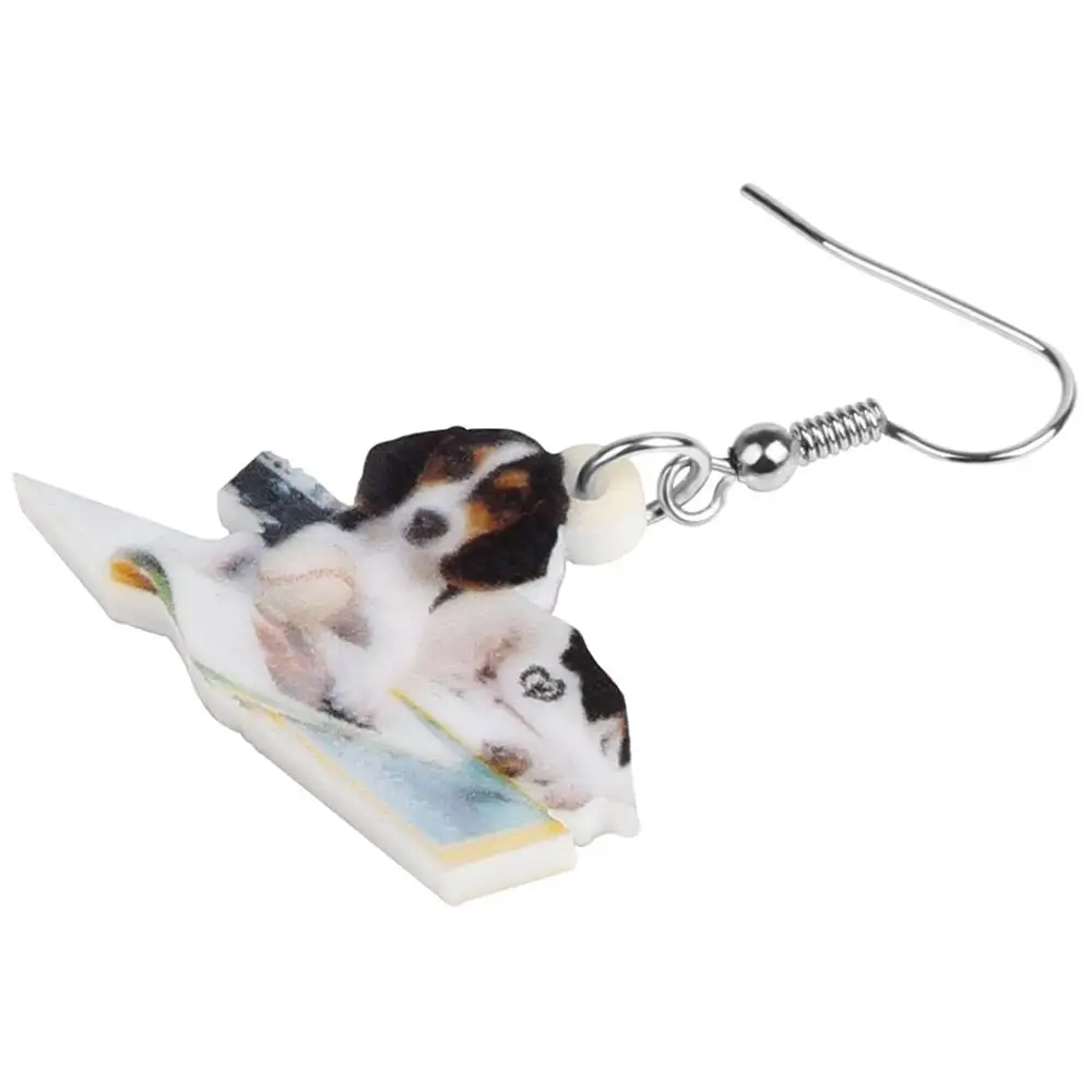 ARWA акриловые серьги с собаками большая Милая подвеска в виде животного ювелирные