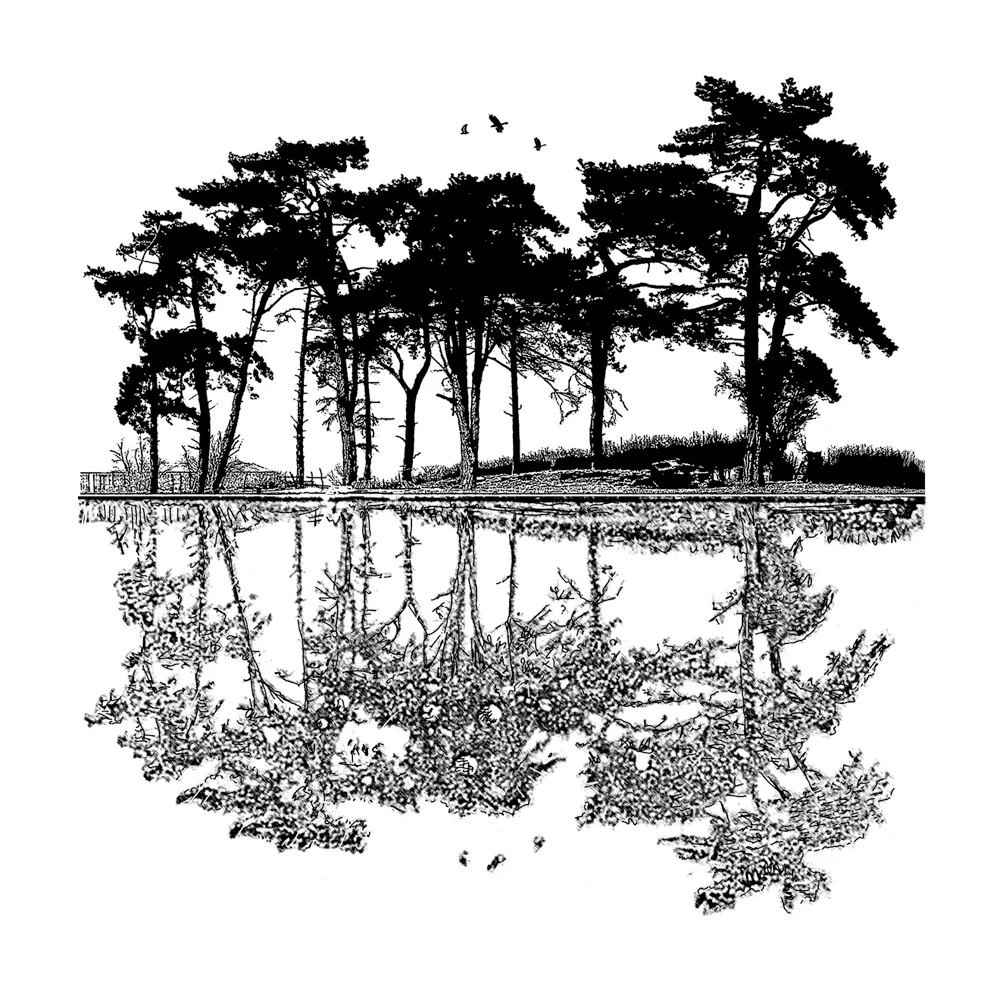 Прозрачный силиконовый штамп с отражением деревьев печать для скрапбукинга