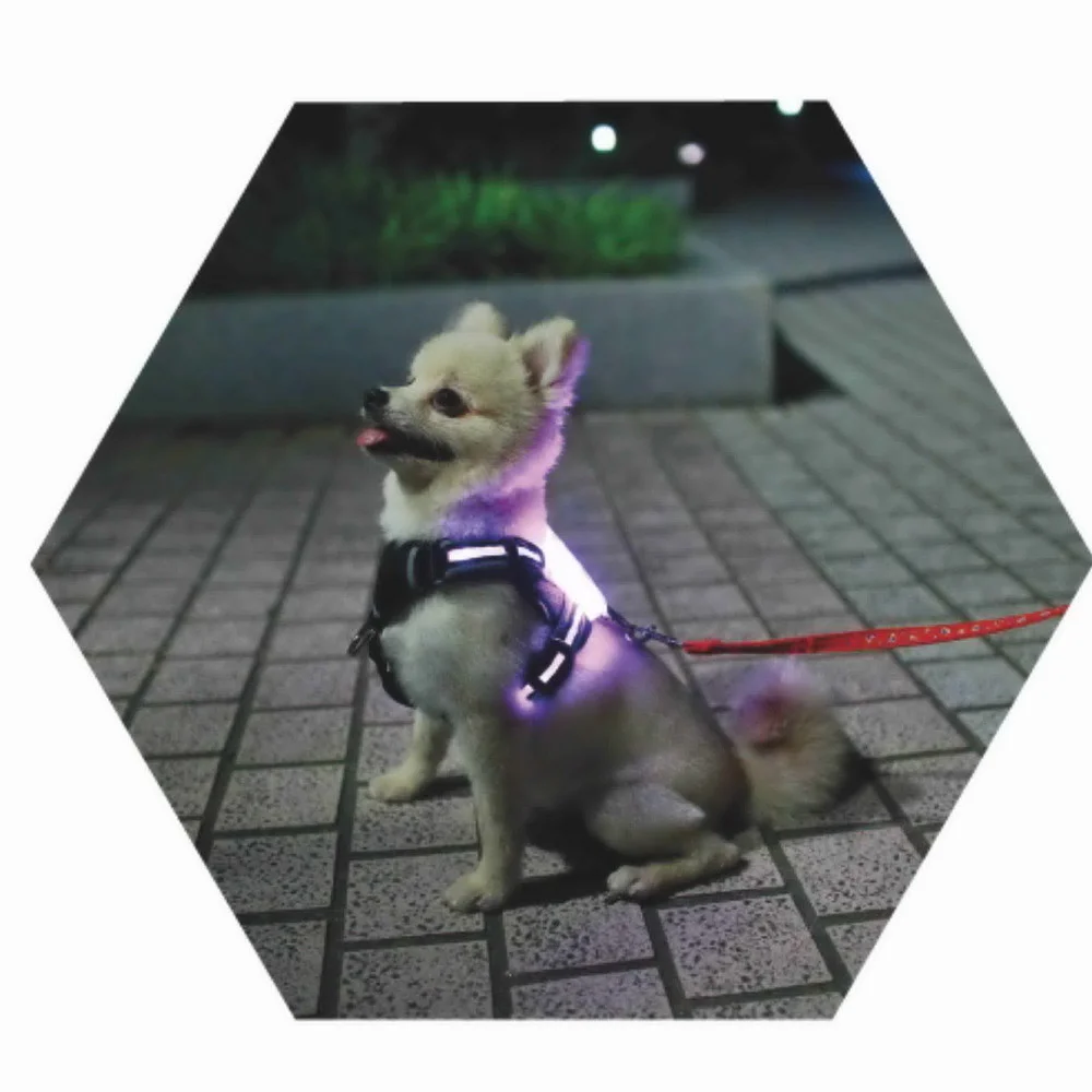 

CC SIMON dog collar glowing dog accessories for large Reflective Harness for Dogs 2021