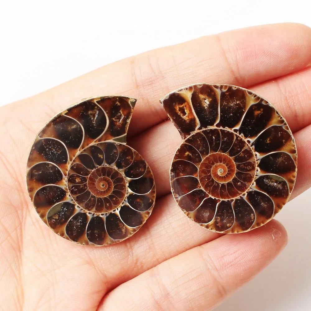 2 шт. подвеска в виде скорлупы|Камни| |