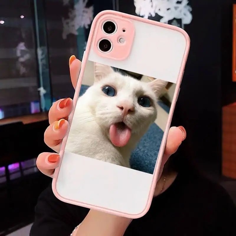 

Cute Cats New Year Gifts Phone Cases Matte transparent For Pink iPhone 12 Mini 11 Pro XR XS Max 7 8 Plus X Back Cover