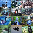 Алмазная вышивка 5D 