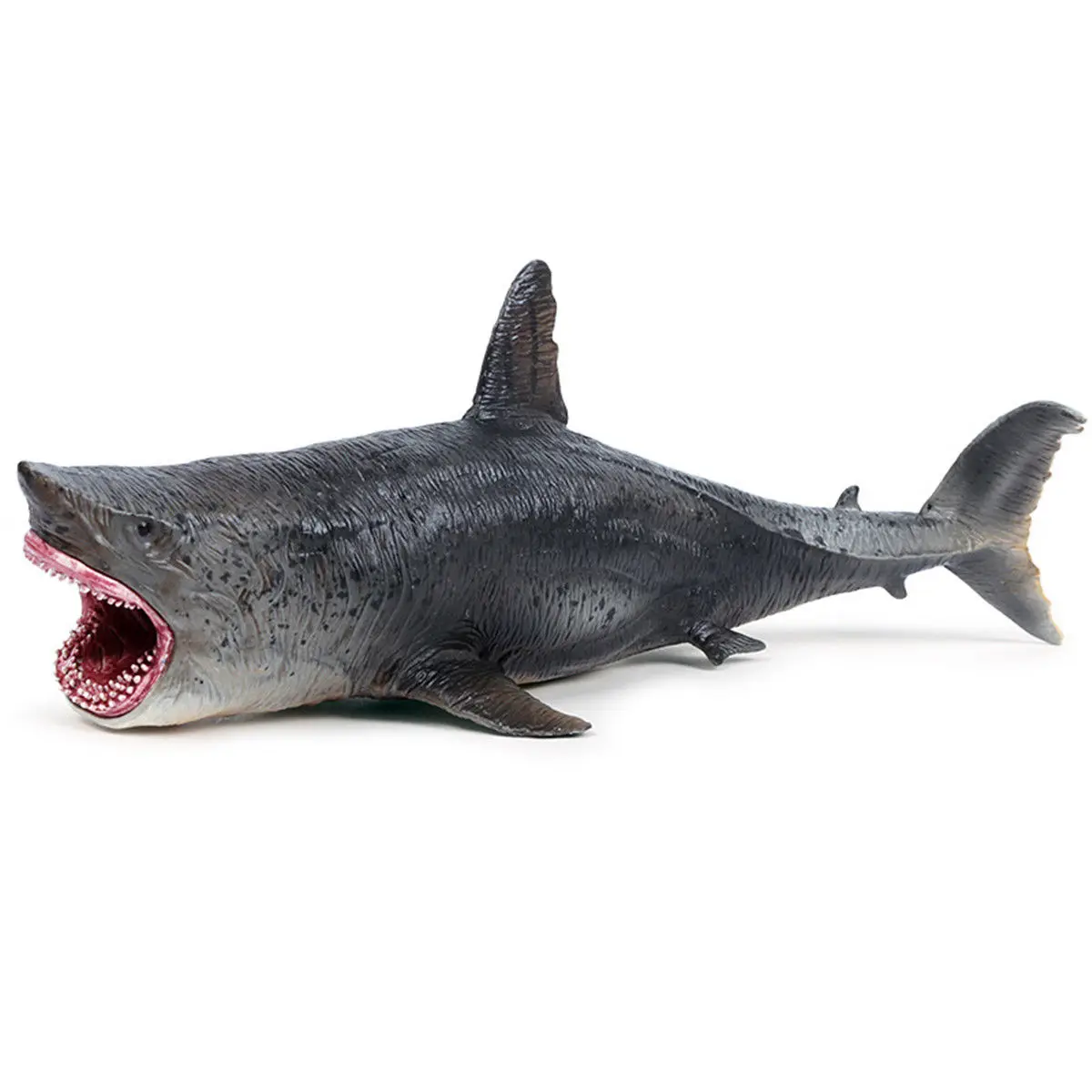 Megalodon