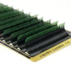 Омбре зеленый C D 0,07 7-15 мм 9 размеров смешанный лоток CrownLASH 2 тона двойной цвет шелковистый объем ресниц расширение Бесплатная доставка