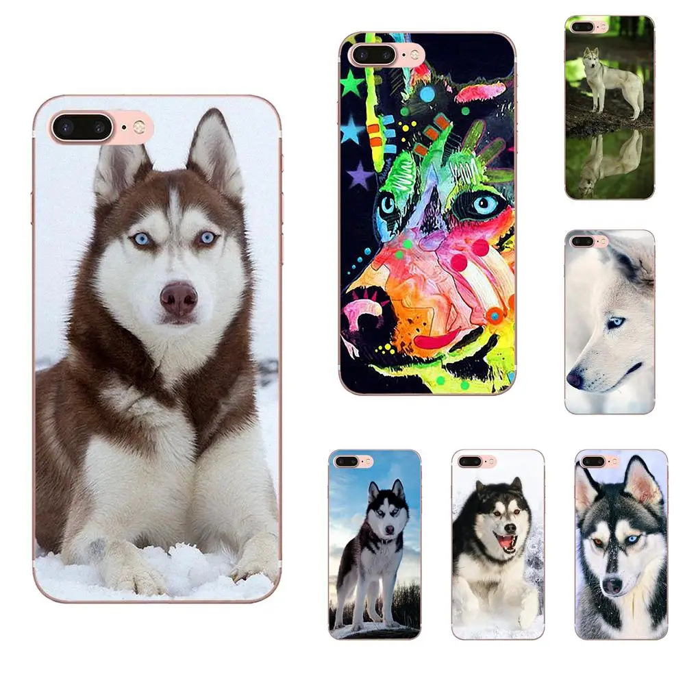 Чехол для телефона с симпатичной собачкой Siberian Husky HTC 530 626 628 630 816 820 One A9 M7 M8 M9 M10 E9 U11