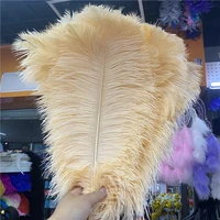 the new 50pcslot champagne ostrich feathers carnival 45 50cm18 20inches jewelry party accessories plumes feathers