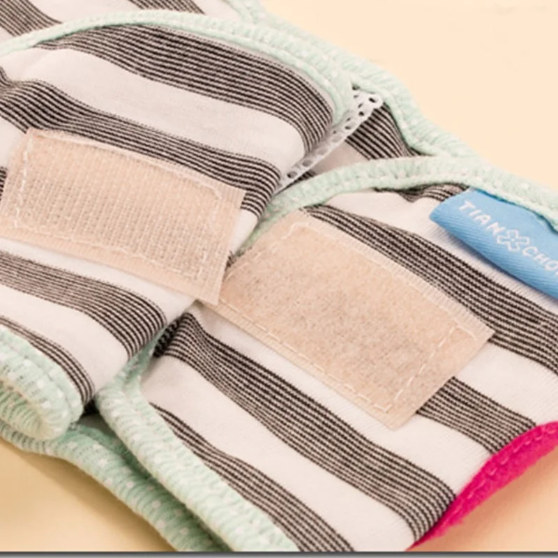 Модные памперсы для маленьких собак затягивающимся ремешком физиологическое