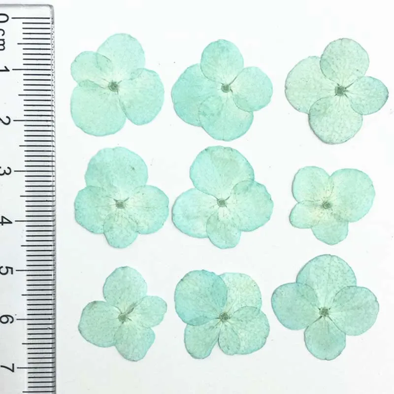 Арт Бумага орнамент настоящие прессованные цветы 1 5-2 см гортензии для