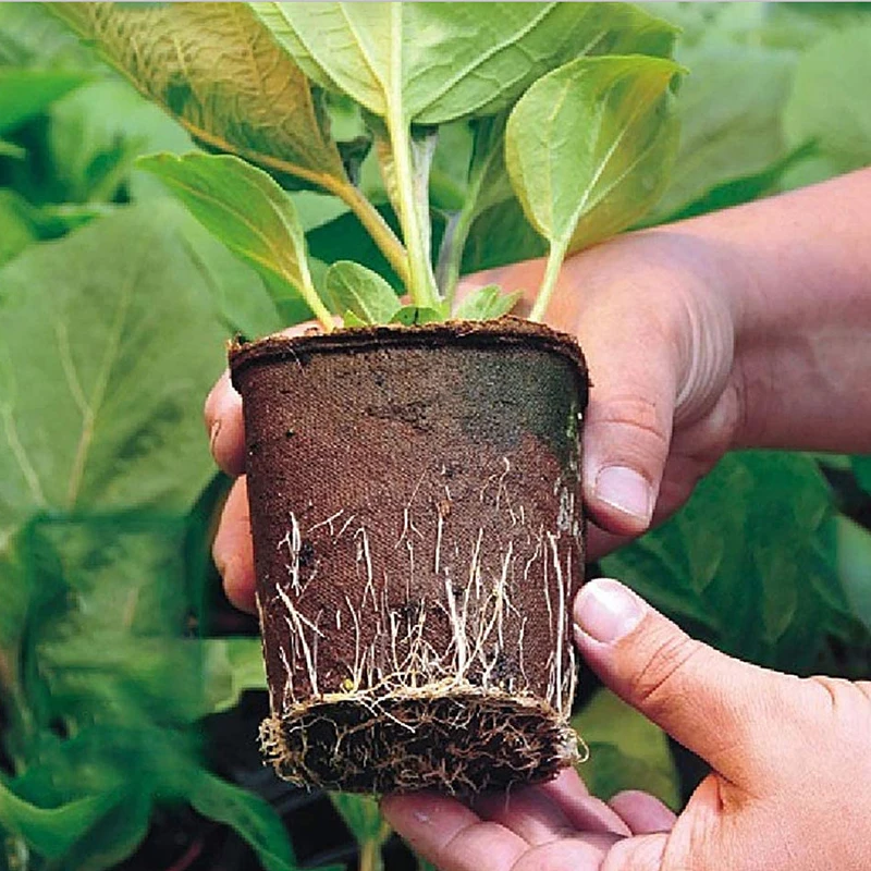 

8 Pcs 3x4 Seed Tray Set Cells Flower Plant Seedling Pots Environmental Protection And Biodegradable Paper Holding Seedling Cup