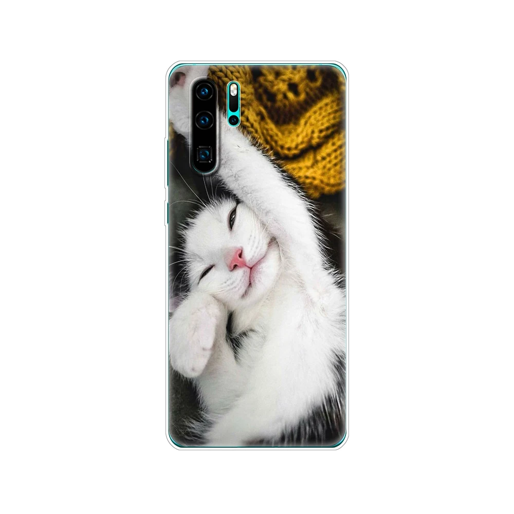 Чехол для Huawei P30 Pro P30Pro силиконовый чехол задней панели мобильного телефона из